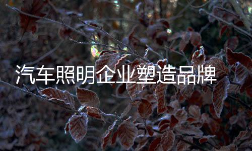 汽车企业则弃之不顾