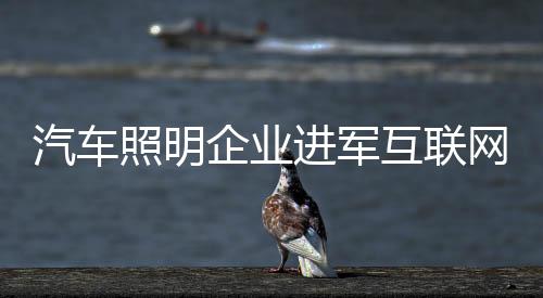 照明展吸引大量粉丝