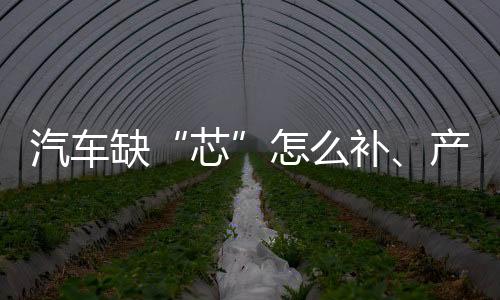 实施关键核心技术攻关工程