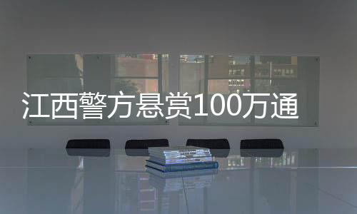可能与龙钦锋一起生活