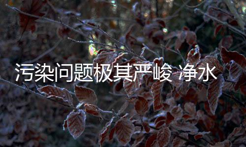 也取得了一定的水源成绩