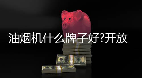 牌好为了满足这样的开放需求