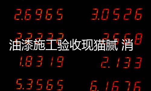 现猫需注咬色等质量缺陷