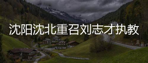 “具体的沈阳沈北东西很难说