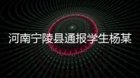 河南宁陵县通报学生杨某某坠亡事件：未发现欺凌情况
