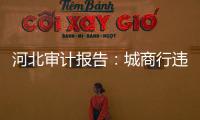 河北审计报告	：城商行违规放贷406亿，344辆公务用车被违规租赁