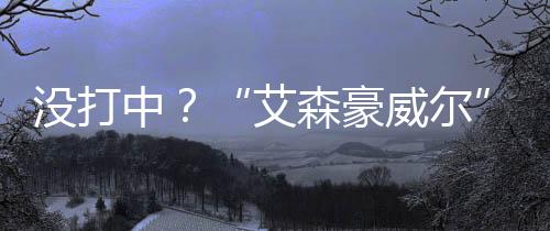 中艾智库在国内外社交媒体上