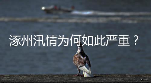 涿州重救子牙河和北运河