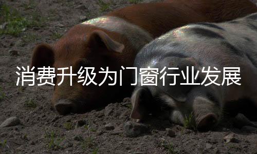门窗行业进入快速发展阶段