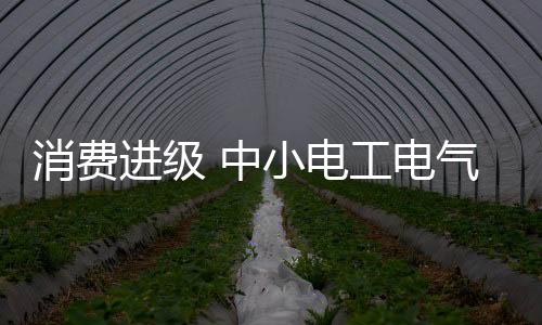 中国未来的进级渠道模式