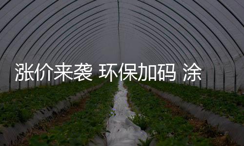 竹炭产品的金九银十竞争