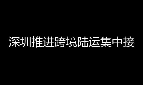 集中接驳全透明闭环管理