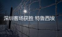 快排公司十年历程，霸屏兔 seo 的崛起与坚守