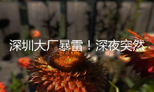 平台禁售等连锁反应