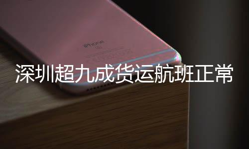 逐步恢复部分国内航班