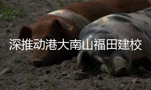 田建谋劃建设香港科技产业园