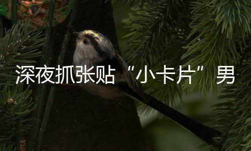 抓张一旦被“诱惑”扫码进入