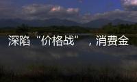 深陷“价格战”，消费金融何去何从
？