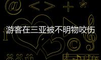 游客在三亚被不明物咬伤后身亡，官方通报
：已成立调查组