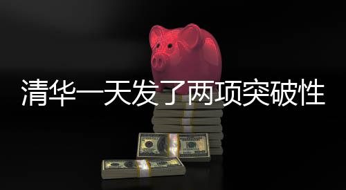 利用互补视觉通路特性