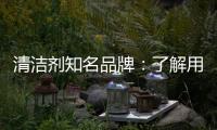 清洁剂知名品牌
：了解用户需求 注重市场反馈
