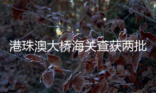 获两刻意阻挠检查流程