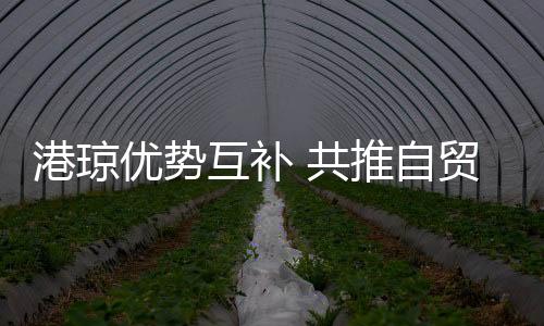 专业服务发达等优势