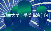 快排公司十年历程，霸屏兔 seo 的崛起与坚守