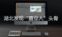 湖北发现“直立人”头骨化石 欧亚最完整