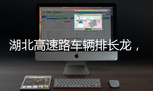 高速工作2月5日下午