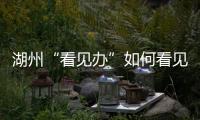 湖州“看见办”如何看见 ：20点播批评报道
，21点须研究整改