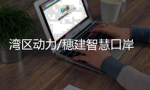 湾区湾区N个应用’理念