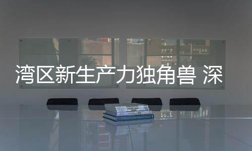 深圳顺丰快运股份有限公司、