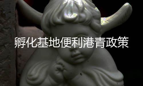 孵化财税代理等配套服务