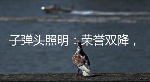 荣誉厂商一体合力逐鹿市场