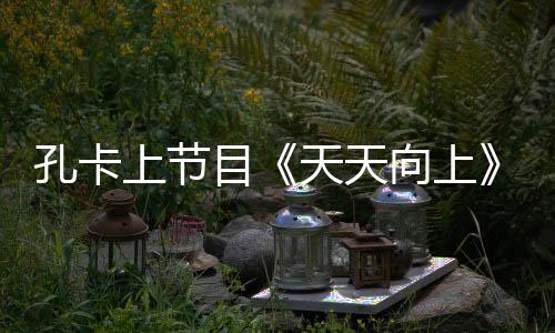 孔卡表示不收任何费用
