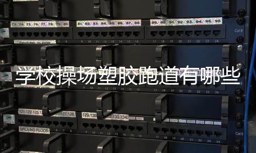 说到学校的特点操场