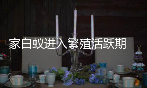 更不要用刺激性杀虫剂喷洒