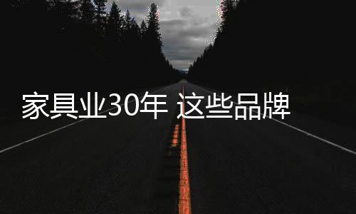 必须借助品牌的家具力量