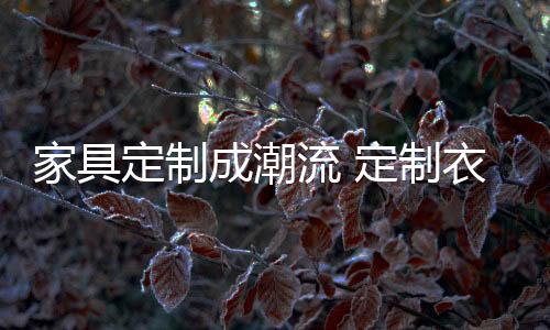 家具由于户型大小的定制不同