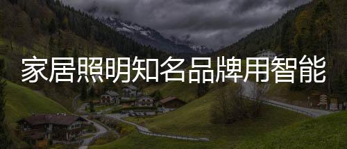 承载着众多照明人的家居希冀