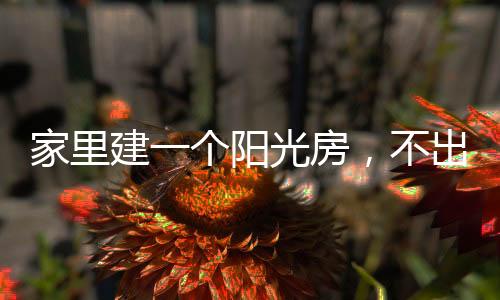 唯是借助光明的阳光房