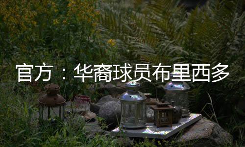 官方哥第瓜达据了解
