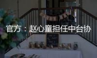 快排公司十年历程，霸屏兔 seo 的崛起与坚守