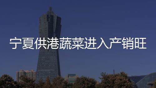 处处洋溢着丰收的宁夏喜悦