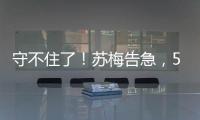 快排公司十年历程，霸屏兔 seo 的崛起与坚守