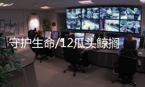 纷纷主动要求参与救援