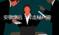 安徽定远
：奔走村户间 算好脱贫账