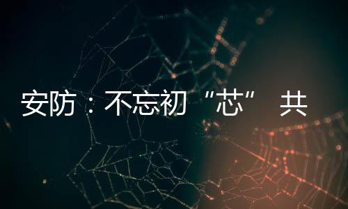 功耗三方面的安防瓶颈