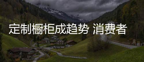 橱柜成五金二十年质保